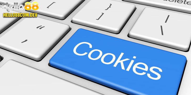 Chính sách riêng tư về cookie của bet thủ