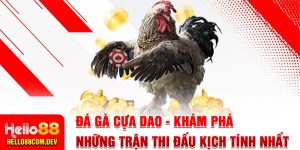 Đá Gà Cựa Dao - Khám Phá Những Trận Thi Đấu Kịch Tính Nhất